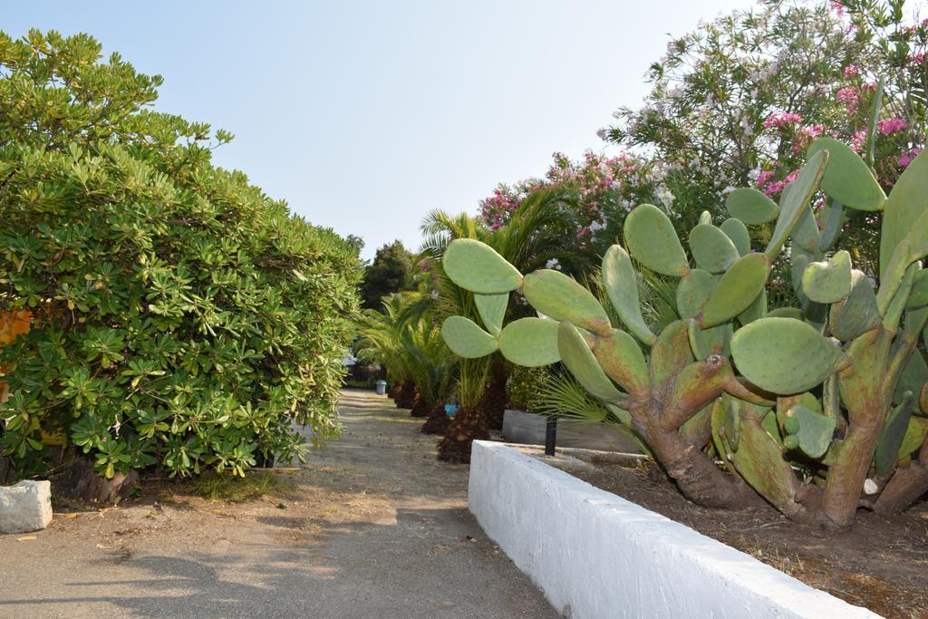 Pellegrino Village Βιέστε Εξωτερικό φωτογραφία